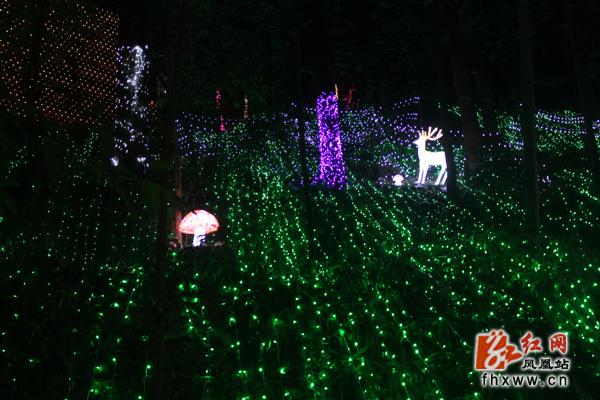 鳳凰縣夢幻燈光節(jié)開幕 優(yōu)美風景羨煞游人(圖2)